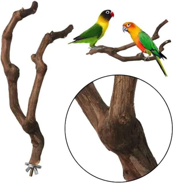 3PCS Parrot Perch – Natural Grape Stick Toy for Small Birds - Image 8