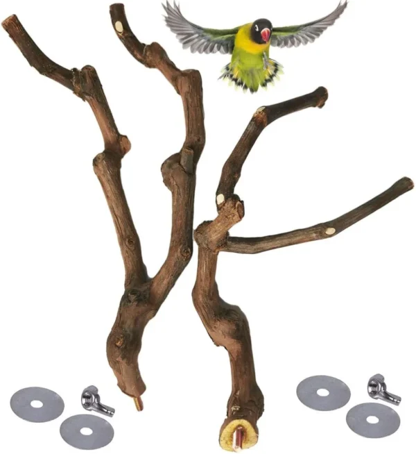 3PCS Parrot Perch – Natural Grape Stick Toy for Small Birds - Image 3