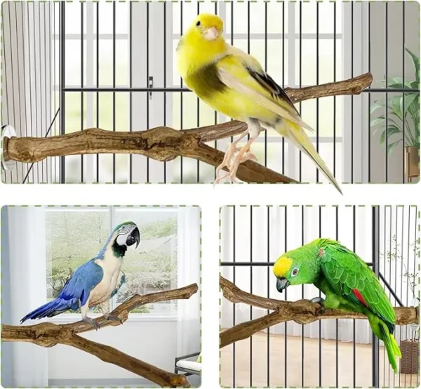 3PCS Parrot Perch – Natural Grape Stick Toy for Small Birds - Image 5