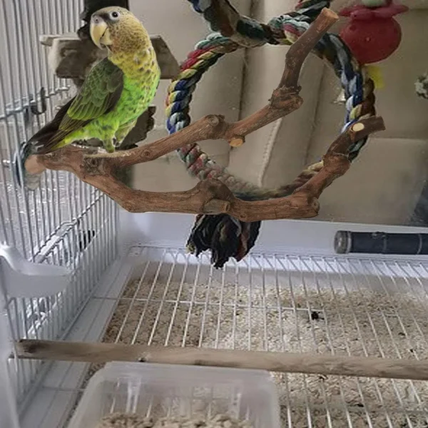 3PCS Parrot Perch – Natural Grape Stick Toy for Small Birds - Image 6